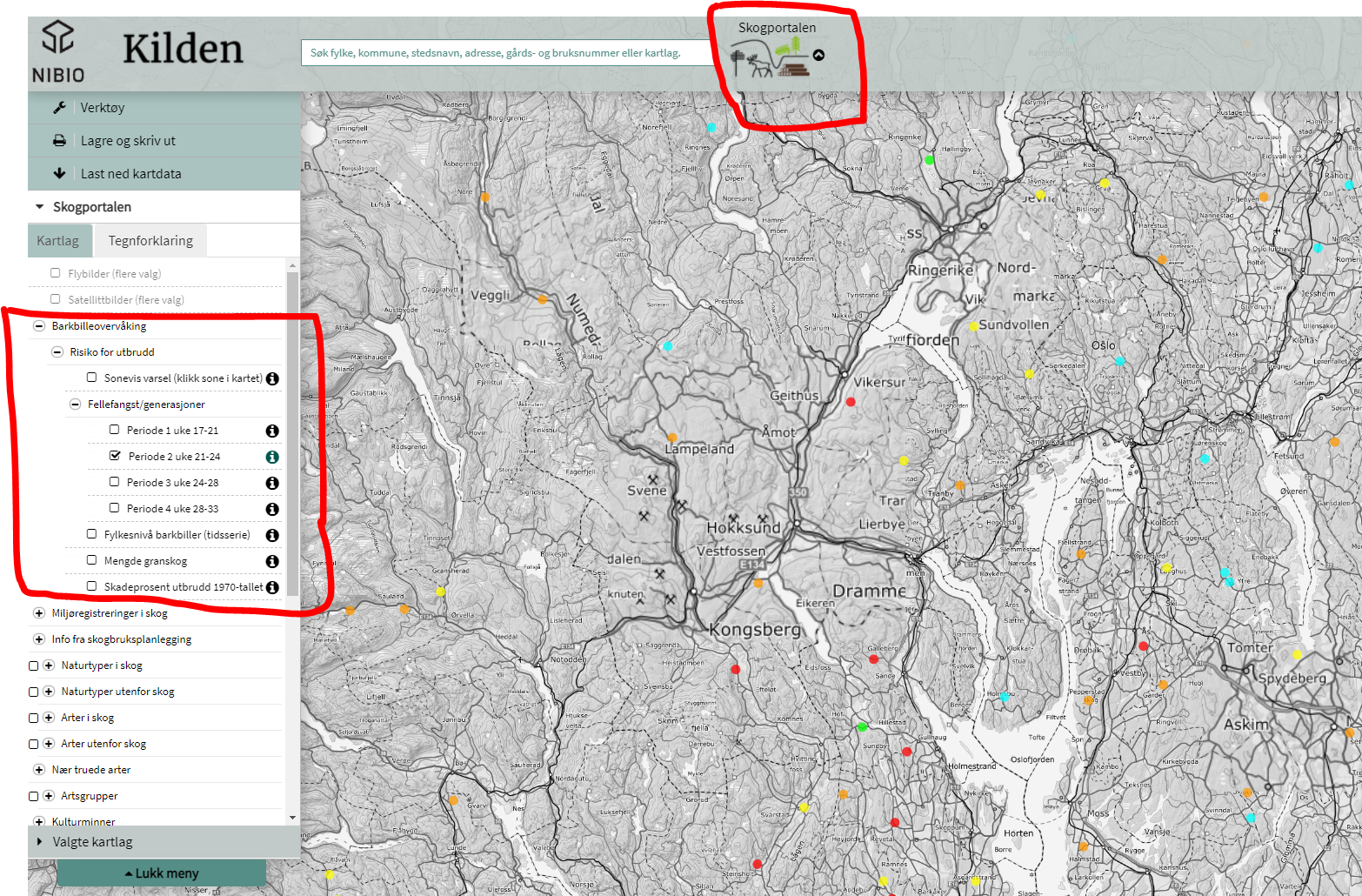 Kart på kilden.no som viser barkbilleovervåkingen i Norge