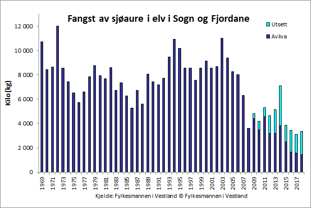 Figur 1. Fangst av sjøaure i vassdrag i Sogn og Fjordane i totalvekt (kg). Frå 2009 er gjenutsett fisk inkludert i statistikken.