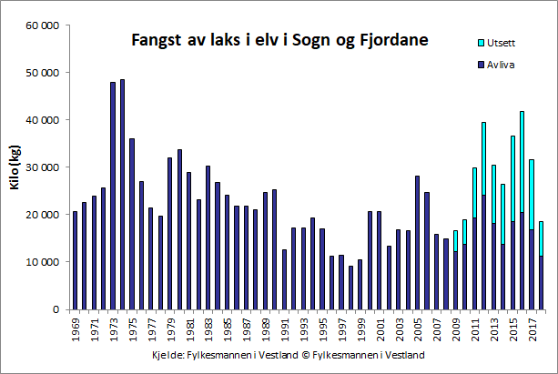 Figur 2. Fangst av laks i vassdrag i Sogn og Fjordane i totalvekt (kg). Frå 2009 er gjenutsett fisk inkludert i statistikken.
