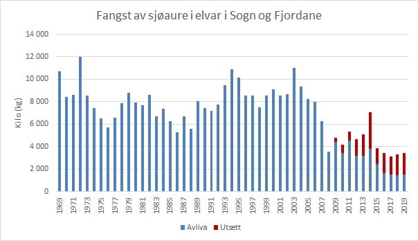 Fangst av sjøaure  i vassdrag i Sogn og Fjordane