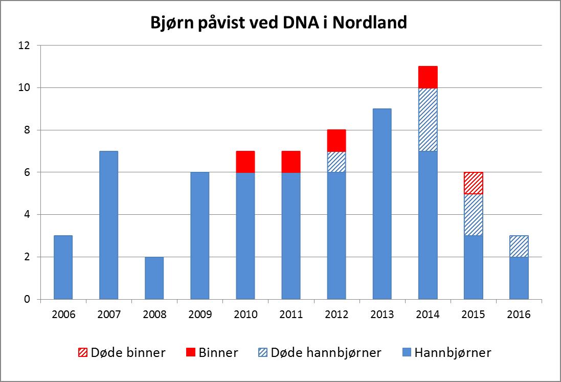 Bjørn i Nordland 2006-2017