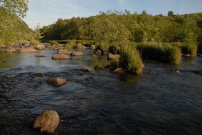 Vakker elv med friskt vatn, god steinsetting og kantvegetasjon.  